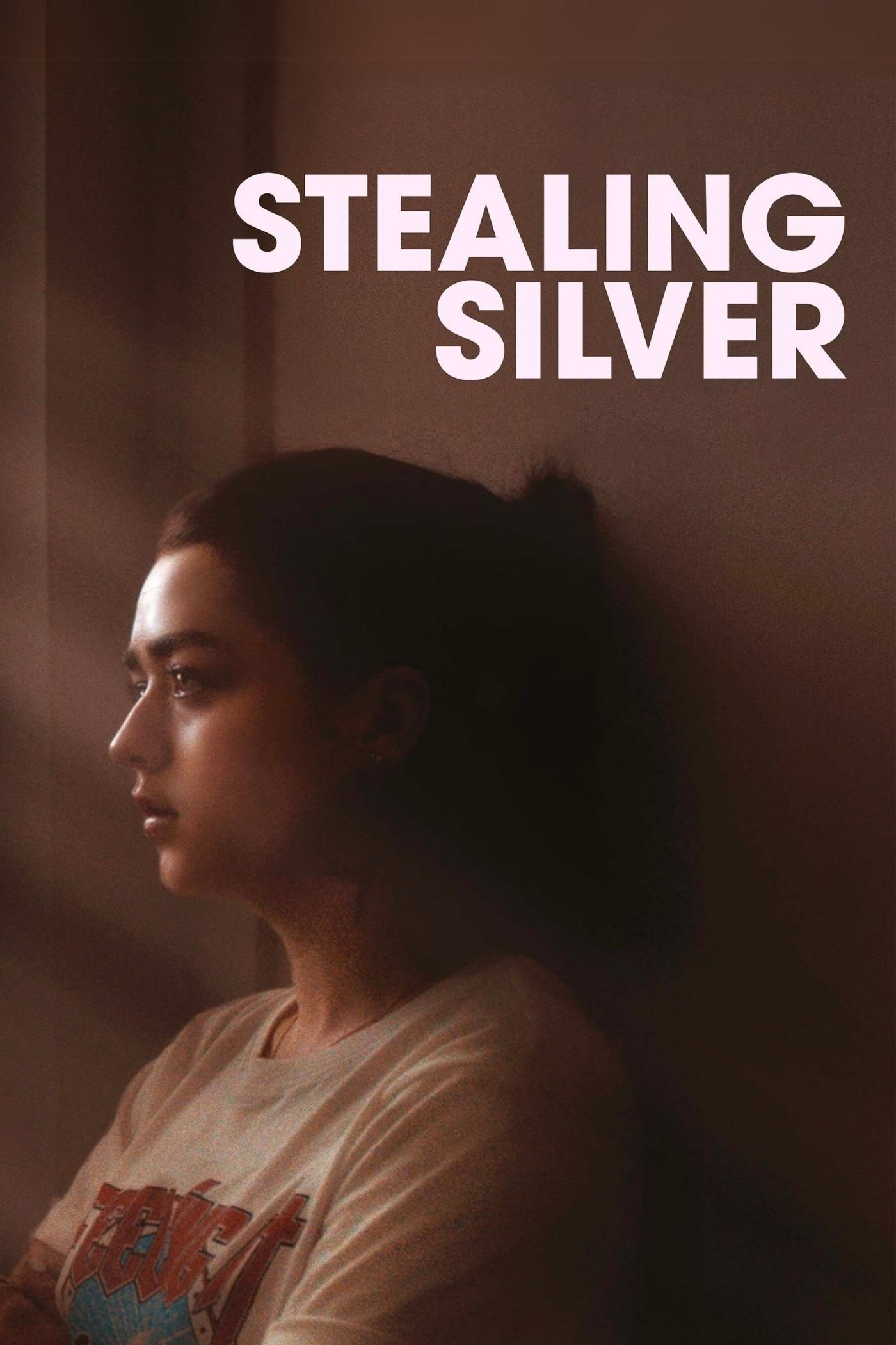 Постер Stealing Silver